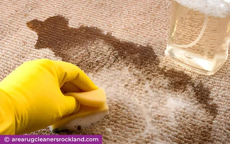 carpet cleaning in the rockland, carpet cleaning in the rockland, carpet cleaning the rockland, carpet cleaners in the rockland, carpet cleaners in the rockland, commercial carpet cleaning, commercial carpet cleaning in the rockland, the rockland rug cleaners, rug cleaning services in the rockland, same day carpet cleaning, same day rug cleaning